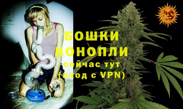 стафф Бородино