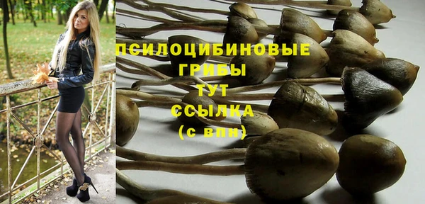 MDMA Богородск