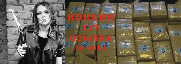 стафф Бородино