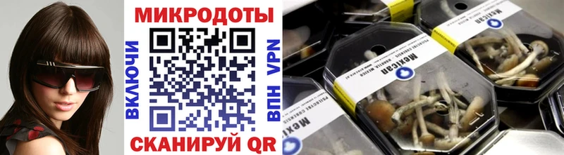 Галлюциногенные грибы Psilocybe  цены   Новое Девяткино 